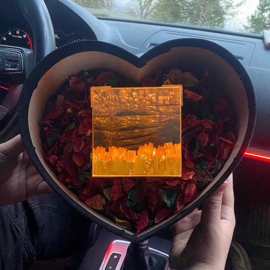 Sizin yerinize kurulumu biz yapalım + Hediye kutusu